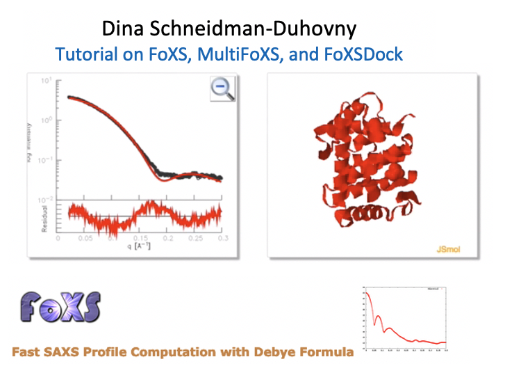 Dina Scheidman - FOXS