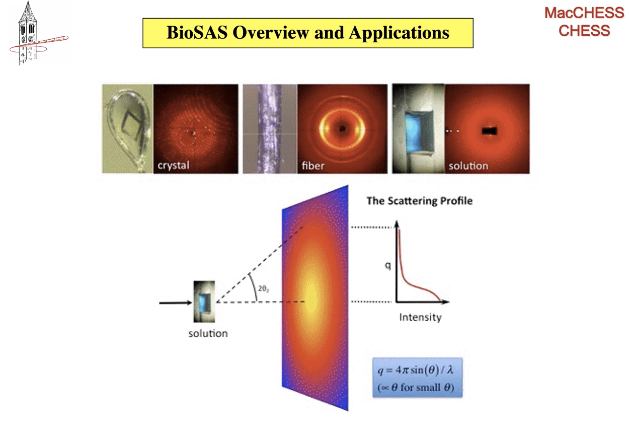  Richard Gillilan - Scattering Profile 